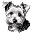 westie drawed tattoo design idea