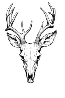 buck deer skull tattoo design idea