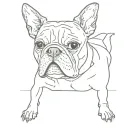 Boston terrier tattoo design idea