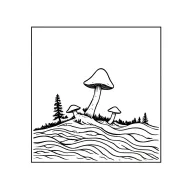 mushroom made from Florida beach waves and California sequoias mountains tattoo design idea