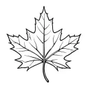maple leaf morphing tattoo design idea