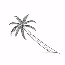 palm tree fine line tattoo design idea