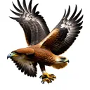 Red Tailed Hawk tattoo design idea