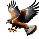 Red Tailed Hawk tattoo design idea