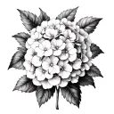 black and white hydrangea flower in picture frame tattoo design idea