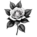 medium size rose with. ame Yvonne on leaf intertwined tattoo design idea