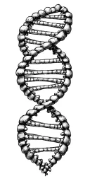 double helix dna strand tattoo design idea