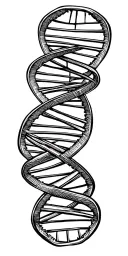 double helix dna strand tattoo design idea