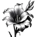 Canna Lily tattoo design idea