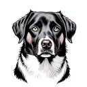 labrador retriever tattoo black with blue eyes staring tattoo design idea
