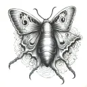 a slug turns into a moth emerging tattoo design idea