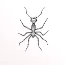 ant tattoo design idea
