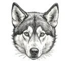 Husky head tattoo from the front view tattoo design idea