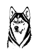 husky dog tattoo design idea