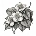 Diphylleia Grayi tattoo design idea