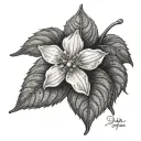 Diphylleia Grayi tattoo design idea