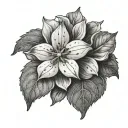 Diphylleia Grayi tattoo design idea