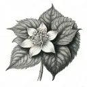 Diphylleia Grayi tattoo design idea