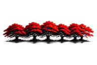 red mangroves in a row, small gap between trees, naturally accurate root systems and leaves, no color tattoo design idea