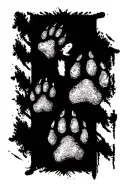 "Schalk" wolf paw prints tattoo design idea