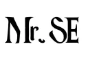 "Mr.SE" tattoo design idea