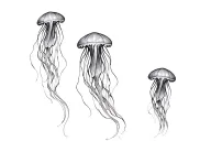 three small jellyfish swimming to the right collarbone tattoo design idea