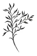 olive tree tattoo design idea