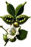 Create a tattoo with A pea pod with two peas, a hawthorn flower and a morning glory tattoo design idea