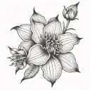 Belladonna tattoo design idea