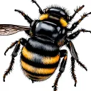 Bumble Bee tattoo design idea