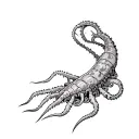 flexible internal shell, segmented soft bodies, siphons, joint appendages, tentacles,camouflage, and claws for fighting tattoo design idea