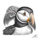 puffin   tattoo design idea