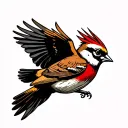 American traditional sparrow in flight tattoo design but the bird is dead and has skeleton showing  tattoo design idea