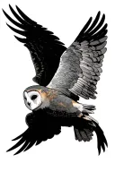 barn owl with wings spread tattoo design idea