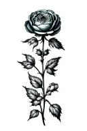 ranunculus flower growing tattoo design idea