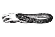 Top-down view of a continuous ouroboros snake forming a seamless bracelet around a human wrist, realistic reptile scales tattoo design idea