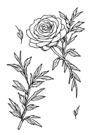 cute simple design of a rose and rosemary sprig side by side fine line black and white tattoo for girls  tattoo design idea