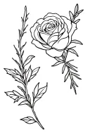 cute simple design of a rose and rosemary sprig side by side fine line black and white tattoo for girls  tattoo design idea
