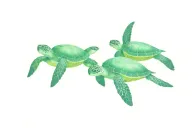 family of 3 sea turtle swimming tattoo design idea