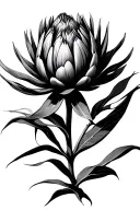 Protea tattoo design idea