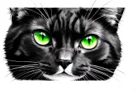 cat beautiful black with green eyes tattoo design idea