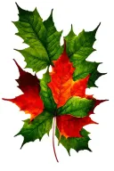 12 green maple leafs surrounding 1 red maple leaf tattoo design idea