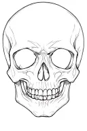 skull soft shading tattoo design idea