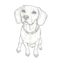 a beagle tattoo design idea