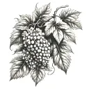 Grapevine tattoo design idea