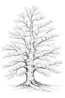 Aspen tree with leaves tattoo design idea