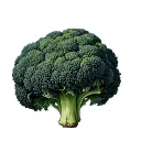 Broccoli tattoo design idea