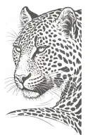 leopard print and cat scratch marks tattoo design idea
