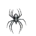 Filler Spider Webs tattoo design idea