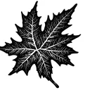 Hip Maple leaf tattoo design idea